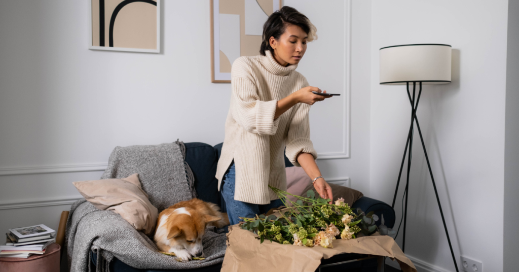 Audrey Wolf Blog Post - How to Simplify the Instagram Reels Creation Process